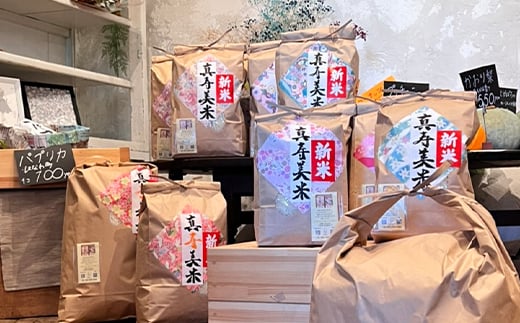 【3ヶ月連続でお届け】女性農家が作ったお米「真寿美米」コシヒカリ精米5kg（合計15kg） コシヒカリ 米 お米 ブランド米 銘柄米 備蓄 日本米 こしひかり コメ ごはん ご飯 食品  F23R-458