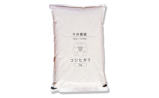 【無洗米】白河市産 コシヒカリ 5kg 米 コメ ごはん ご飯 食品  F24R-081