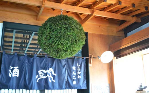 千駒 純米大吟醸 720ml 酒 お酒 日本酒 千駒酒造  純米大吟醸酒 アルコール アルコール飲料 F21R-027