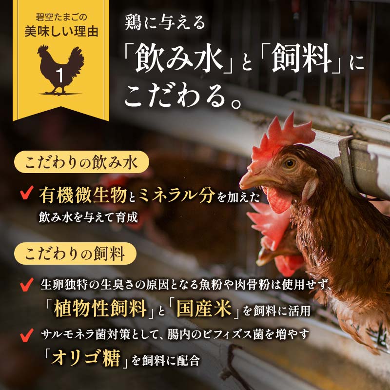 【3回定期便】ビタミンＥ豊富な「碧空たまご」80個入り Lサイズ タマゴ 卵 玉子 たまご F23R-936