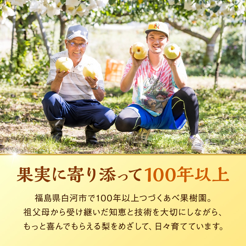 《2026年秋出荷》味が濃い梨 豊水約2.5kg（5～8玉） F24R-120