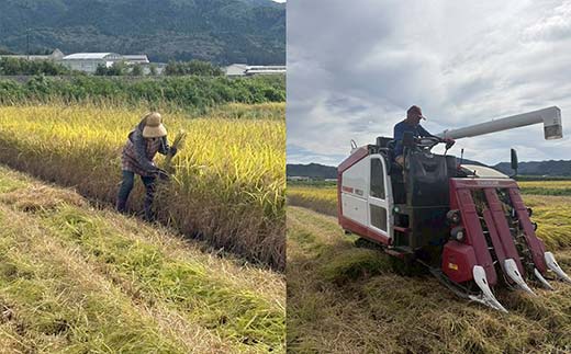 令和7年産米 白河表郷 コシヒカリ 白米 3kg 米 コメ ごはん ご飯 食品 F24R-196