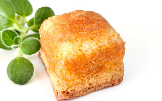 老舗洋菓子店で大人気の大人味わいブランデーケーキ栗のカステラ16個入り 個包装 小分け 焼き菓子 スイーツ 手土産 お取り寄せ プチギフト おやつ くり 福島県白河市 F25R-081