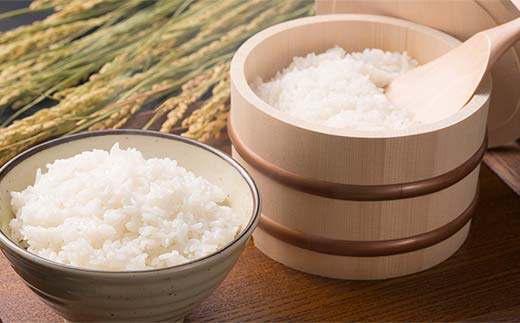 ＜定期便＞白河市産コシヒカリ精米10kg×3ヶ月連続 米 お米 コメ ごはん ご飯 食品 F25R-014