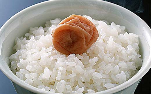 ＜定期便＞白河市産天のつぶ精米5kg×2ヶ月連続 米 お米 コメ ごはん ご飯 食品 F25R-019