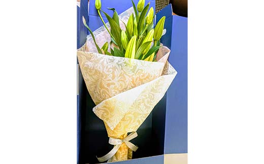 ユリ専門＜深花園＞観賞用ゆり オリエンタルリリー 八重ゆり ＜ピンク・普通＞ 蕾15輪以上 F23R-954