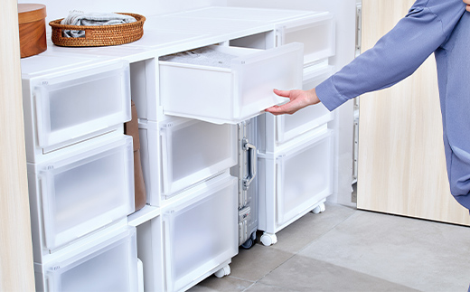 Fits 暮らしに寄り添う フィッツケースアドバンス Sサイズ 2個セット  F25R-046