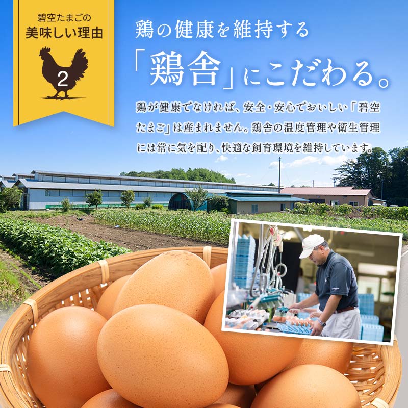 【6回定期便】ビタミンＥ豊富な「碧空たまご」160個入り Lサイズ タマゴ 卵 玉子 たまご F23R-939