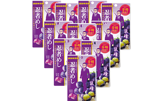 UHA味覚糖 忍者めし 巨峰 10パック入り お菓子 グミ 菓子 食品  F24R-132