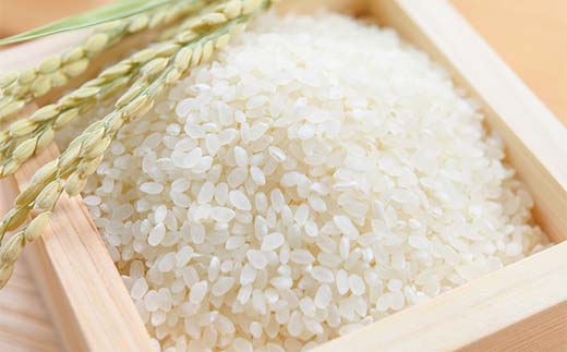 令和7年産米 白河市産天のつぶ精米10kg 米 お米 コメ ごはん ご飯 食品 F25R-007