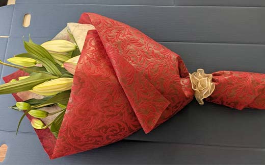 ユリ専門＜深花園＞観賞用ゆり オリエンタルリリー ＜ピンク・お祝い＞ 蕾20輪以上 F23R-962