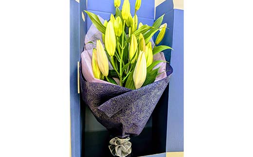 ユリ専門＜深花園＞観賞用ゆり オリエンタルリリー ＜ミックス・おくやみ＞ 蕾20輪以上 F23R-966