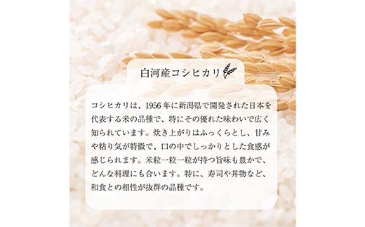 【無洗米】キャンプ用 白河市産 コシヒカリ 2合 300g 米 コメ ごはん ご飯 アウトドア 非常食 ソロキャンプ 食品 防災グッズ  F24R-074