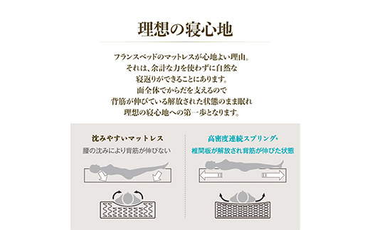 フランスベッド セレーヌ02C（脚付タイプ） マットレス シングル グレイ(GY）ミディアム F23R-898