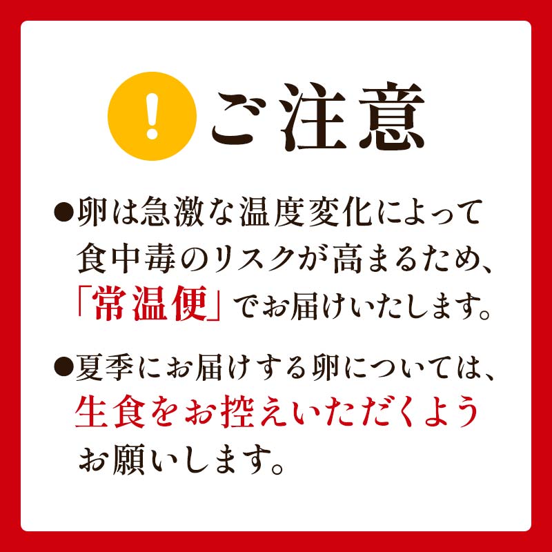 【3回定期便】ビタミンＥ豊富な「碧空たまご」80個入り Lサイズ タマゴ 卵 玉子 たまご F23R-936