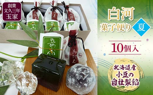 創業文久三年 玉家 白河菓子便り 夏  お茶菓子 お茶請け 和菓子 菓子 セット 詰め合わせ 詰合せ 食品 F21R-015