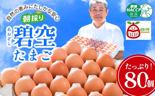 碧空たまご 80個入り Lサイズ タマゴ 卵 玉子 たまご  ゆで卵 たまご焼き 目玉焼き 朝食 食品 F21R-021