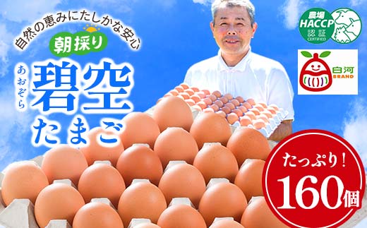 碧空たまご 160個入り Lサイズ タマゴ 卵 玉子 たまご  ゆで卵 たまご焼き 目玉焼き 朝食 食品 F21R-022