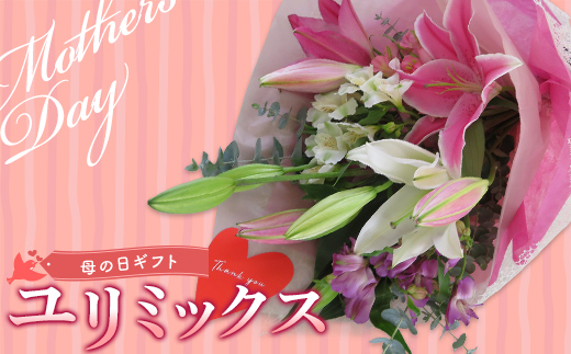 母の日 ギフト用 ユリ ミックス 花束（合計15～20輪） 植物 フラワー 花 F23R-788
