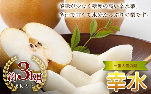 《2026年秋出荷》一番人気の梨 幸水 約3kg （6～9玉） F24R-122