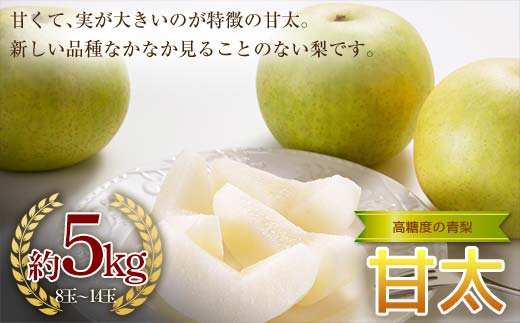 《2026年秋出荷》高糖度の青梨 甘太 約5kg（8～14玉） F24R-124