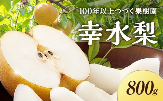 《2026年秋出荷》一番人気の梨 幸水 2玉 F24R-125