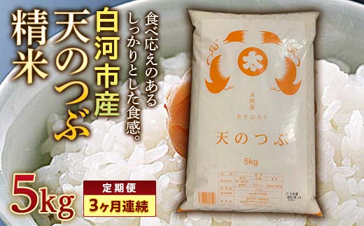 ＜定期便＞白河市産天のつぶ精米5kg×3ヶ月連続 米 お米 コメ ごはん ご飯 食品 F25R-020
