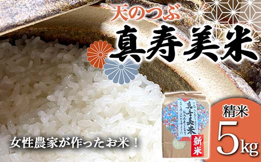 令和7年産米 女性農家が作ったお米「真寿美米」天のつぶ精米5kg 天のつぶ 米 お米 ブランド米 銘柄米 備蓄 日本米 コメ ごはん ご飯 食品  F21R-816