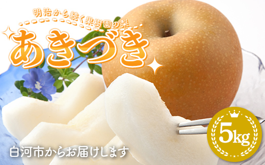 明治から続く果樹園の梨「あきづき」5kg（12～16玉） なし 果物 くだもの デザート ギフト ナシ 甘い フルーツ 福島県 白河市 F23R-819
