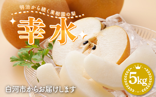 明治から続く果樹園の梨「幸水」5kg（12～16玉） なし 果物 くだもの デザート ギフト ナシ 甘い フルーツ 福島県 白河市 F23R-822