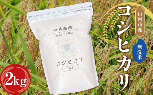 【無洗米】白河市産 コシヒカリ 2kg 米 コメ ごはん ご飯 食品  F24R-080