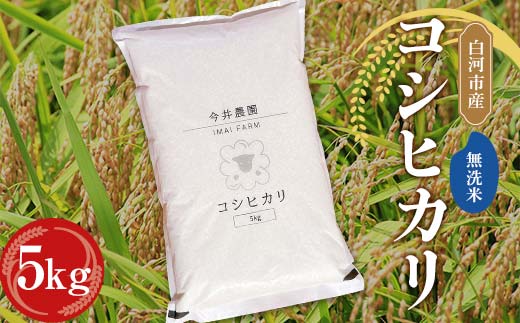 【無洗米】白河市産 コシヒカリ 5kg 米 コメ ごはん ご飯 食品  F24R-081
