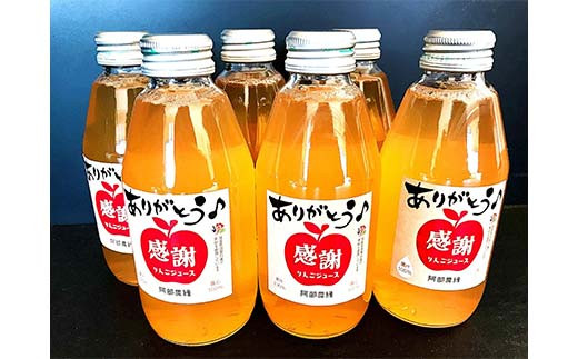 阿部農縁　感謝りんごジュース6本ギフト箱入り　サンふじ