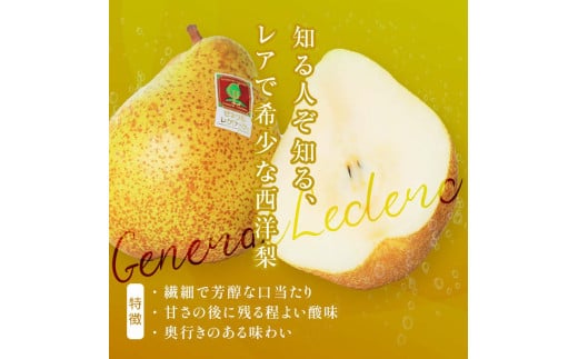 阿部農縁　希少な洋梨ゼネラルレクラーク3kg(6～8玉)　福島