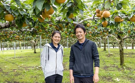 渡辺果樹園のあきづき梨　約3kg＜9月中旬～10月上旬にお届