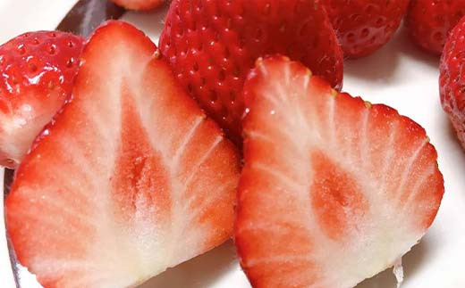 ＜アグリハウス秋山＞ とちおとめ デラックス3L～4L 大玉 24