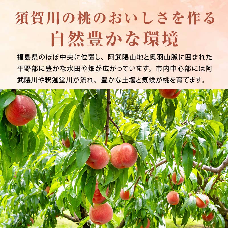 阿部農縁　硬い桃好きにオススメのモモ　おどろき　大玉2