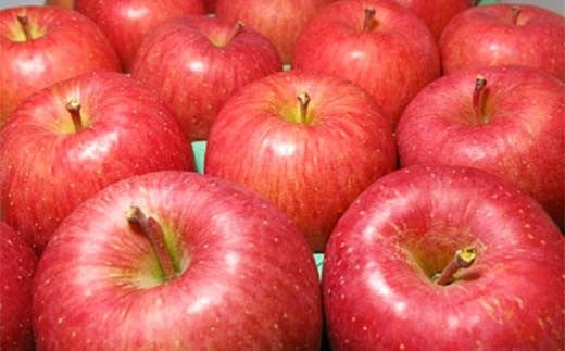 福島県のリンゴ　いわせっ娘 約10kg(32～46玉) F7X-0012