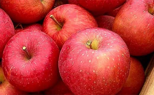 福島県のリンゴ　サンふじ約3kg(8～12玉) F7X-0013