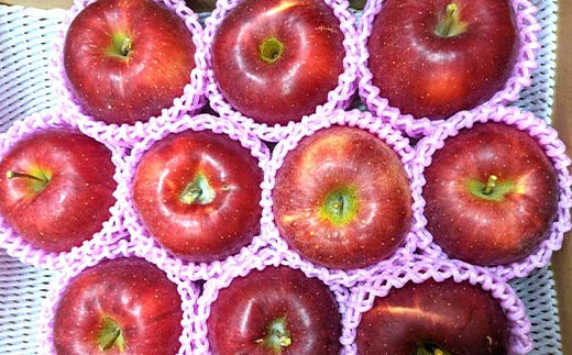 りんご ＜佐藤果樹園＞ 4kg 10～13個 1～3種類 F7X-0218