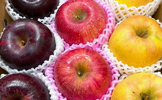 りんご ＜佐藤果樹園＞ 御歳暮 3種のりんごセット 4kg 10～12