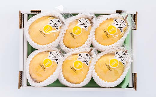 渡辺果樹園のル・レクチェ　2kg F7X-0160