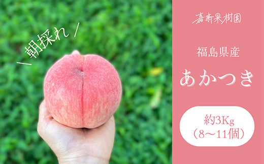 ＜先行受付＞ 嘉斎果樹園の桃「あかつき」約3kg（8～11個） 