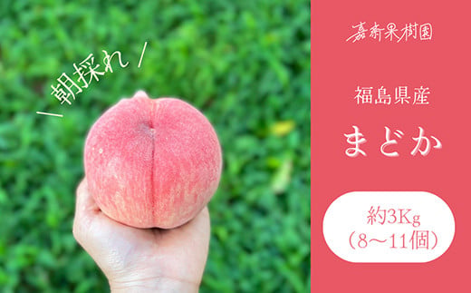 ＜先行受付＞ 嘉斎果樹園の桃「まどか」約3kg（8～11個） も