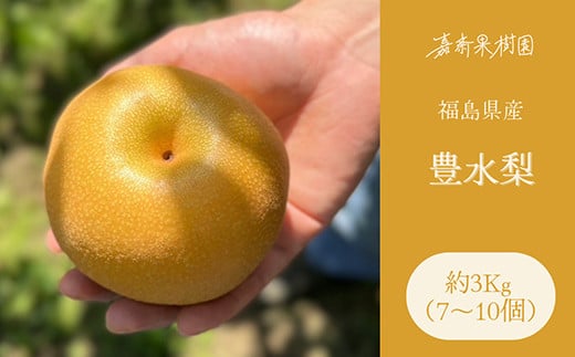 ＜先行受付＞ 嘉斎果樹園の梨「豊水」約3kg（7～10個） なし