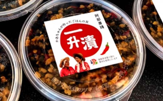 ご飯のお供 3品セット(一升漬・梅干し・食べるたれ) F7X-0018