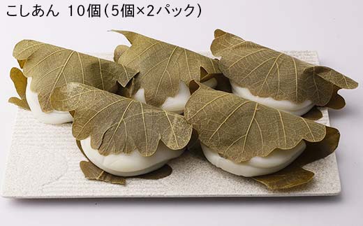 創業から人気の味 かしわ餅20個セット（こしあん・つぶあ