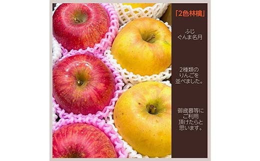 りんご 2色 リンゴ ぐんま名月 フジ 3kg 9～11個 御歳暮 ＜有