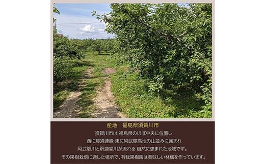 りんご 家庭用 5kg バラ積め 保証+1kg入＜有我果樹園＞ りん