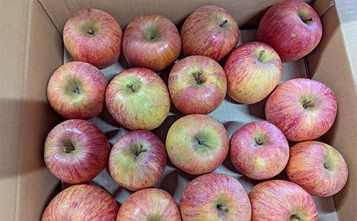 須賀川市産 リンゴ 家庭用 10kg ＜箭内厳雄果樹園＞ りんご 